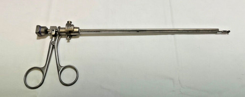 Gyrus circon acmi - gyrus,
