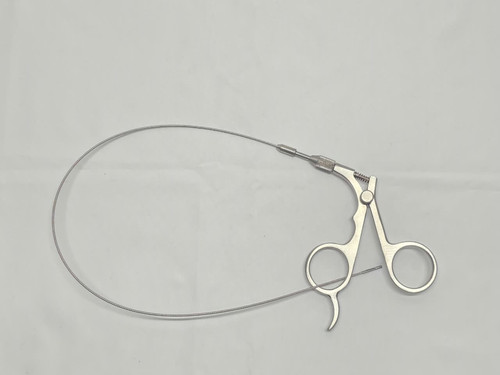 Cystoscopy flexible biopsy - cystoscopy,