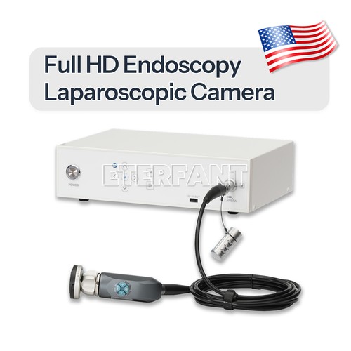 1080p full ent endoscopy - ent,